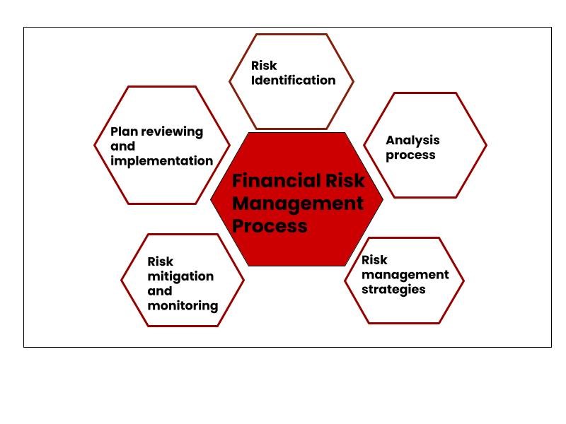 financial risk management process